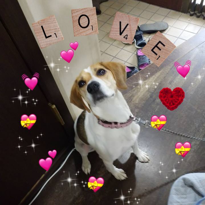 A798906d 512d 4bc5 b075 365d9926fce3 1596012348736