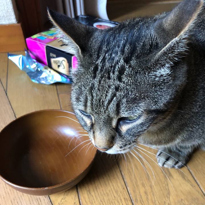 A798b72d ffe8 4bf5 ba40 e2dde330d163 1594786338819