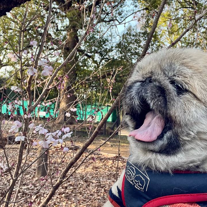 A798c141 febd 4ee9 b0e1 8f95faa63b3e 1742681261052