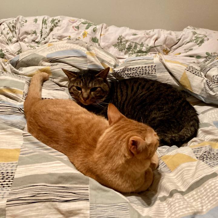 A798dc2a 3f9a 4874 8e7d 9431ca039bfe 1687556959450