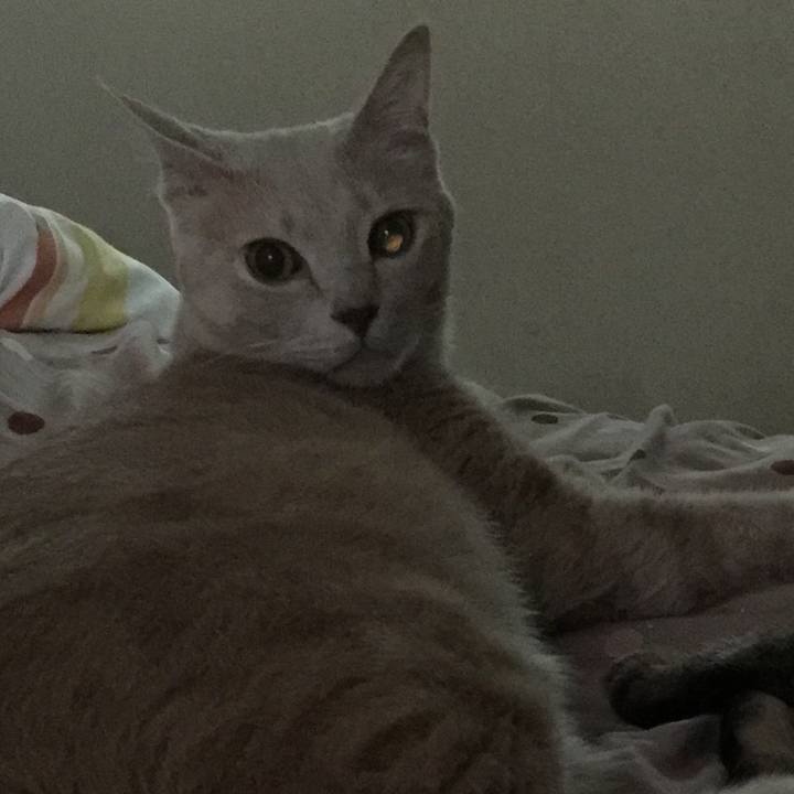 A798eefd 4a82 441b 9654 cf0650e02fb7 1548070876631