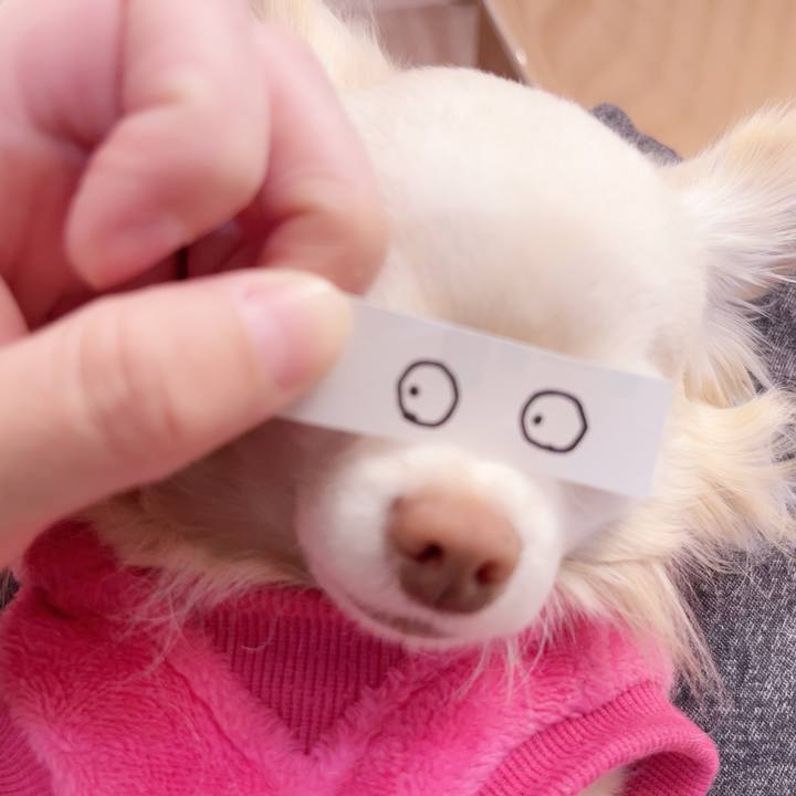 A7990d07 a923 49a2 9dff 90494737e82e 1740733620931