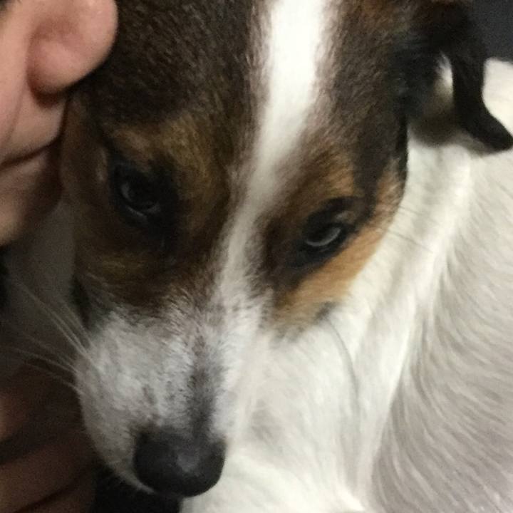 A7991dc1 ec80 411d b241 f138c7a463d9 1523163724931