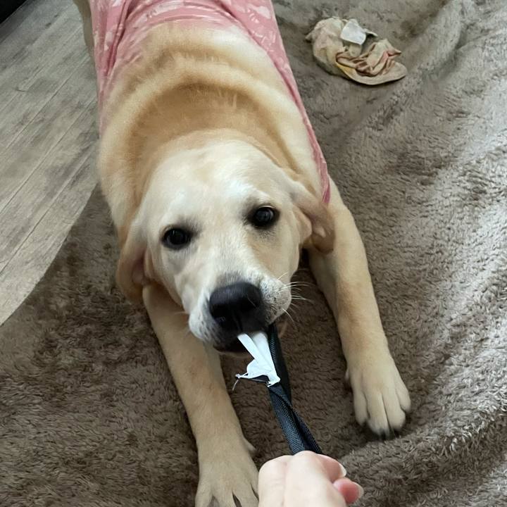 A79947e9 aa6a 4f50 8f1b eb57ead9d88c 1624190707213