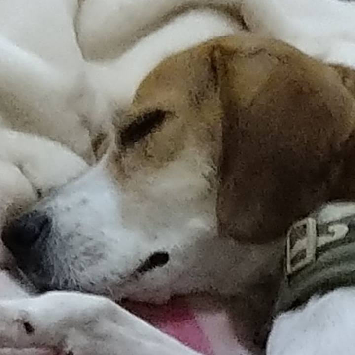 A79953c2 8916 4266 b317 ab5415128dfc 1667658740458