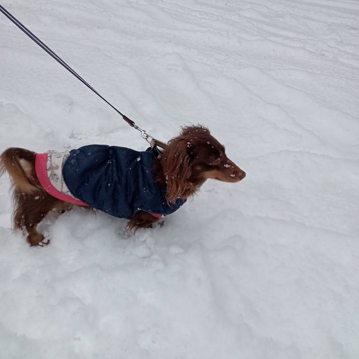 A799671b 34a6 415b 8d1b 6a96d94f7982 1770761717087