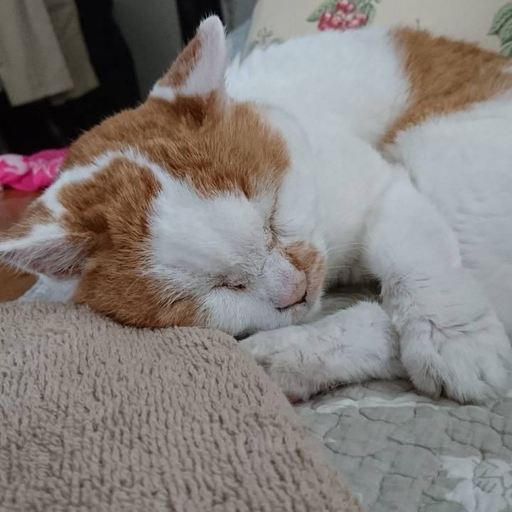 A799b692 f59b 450e 895e 36202efa4606 1566424600571