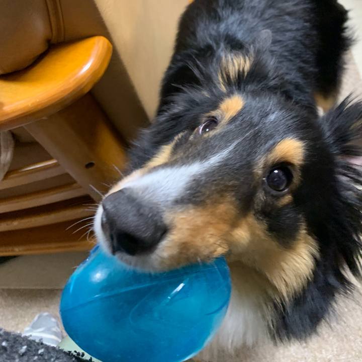 A799eaaa 8409 4c75 8105 a39217637169 1548194828231