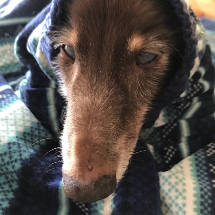 A79a0bc1 cd7c 49b7 80e9 ead441d904ec 1542422458749