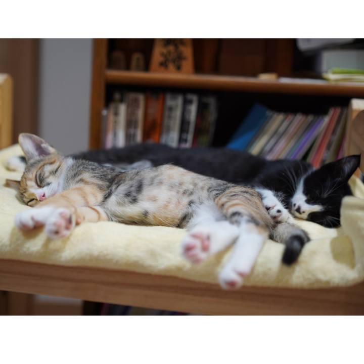 A79a7b6b 8fe2 43d9 af64 42924f0b8628 1568005968519