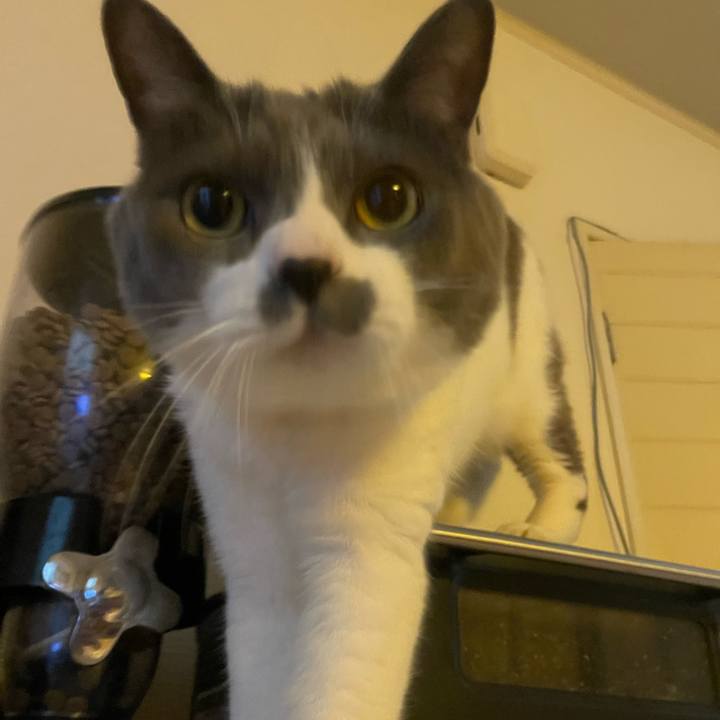 A79aa026 c96d 4152 9950 e1f4c0159680 1747526125363