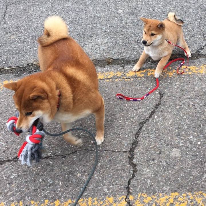 A79aae62 d911 4ace b872 855bb8fca630 1562454236434