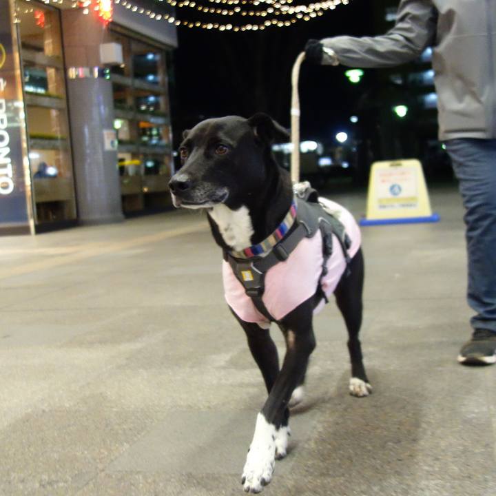 A79ae3e7 7559 465e b15d 359f3a67a3a5 1645960102309