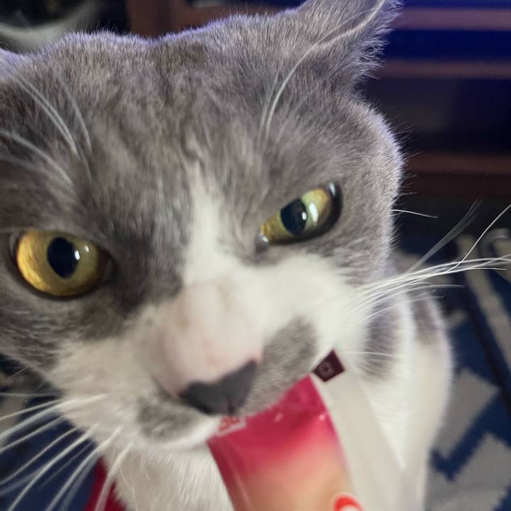 A79b08d4 f2f8 48dc 9e4c cc23a96b906c 1682662435131