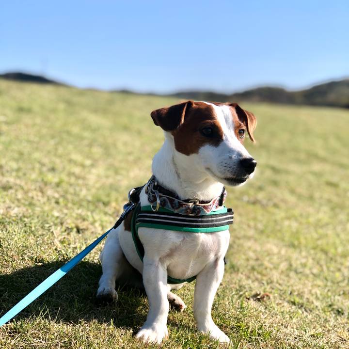 A79b0927 d984 4630 8460 1add14725ab6 1587802076488