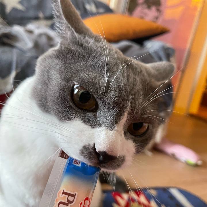 A79b1f44 8576 4a83 9696 be7e8a7ea497 1662531990824