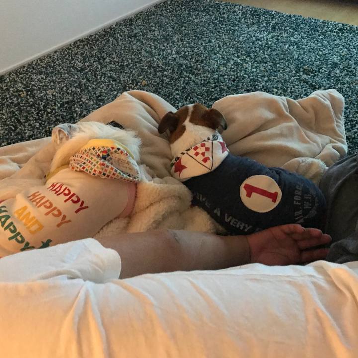 A79b2d62 a8d1 44da 9dad 024c5438115d 1521981402881