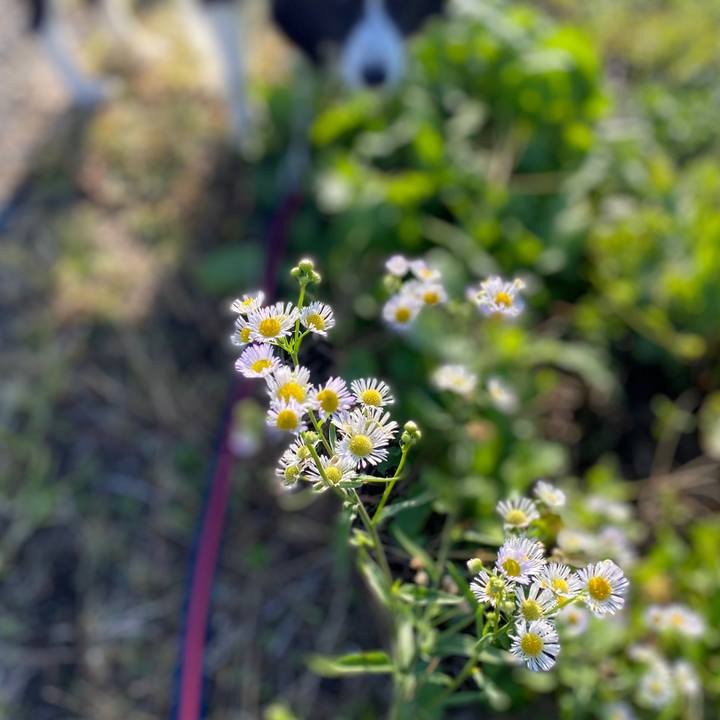 A79b359e 4d07 4365 81d1 3870ac8d1330 1604449021006