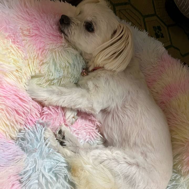 A79b6ed6 f325 429a 9feb f5fa691ba95e 1692182922304