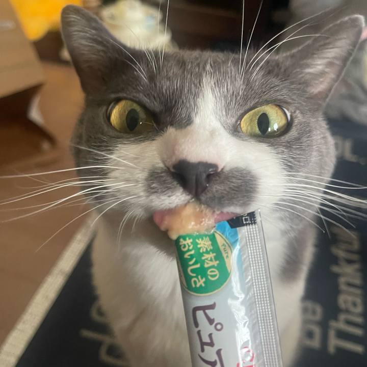 A79b7a98 00b1 4b3b ac8c 4de47636bf43 1727681269248