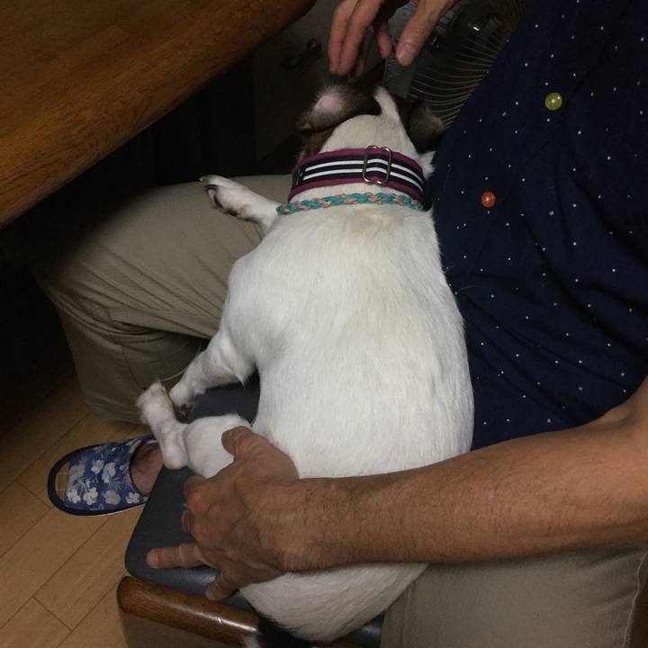 A79b87c6 7706 4407 8be1 73a49b7429c1 1507723967289