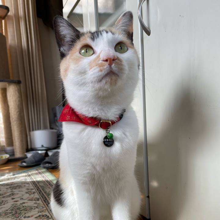 A79ba029 bb30 4dc0 9fed b049da5572fa 1710460690341