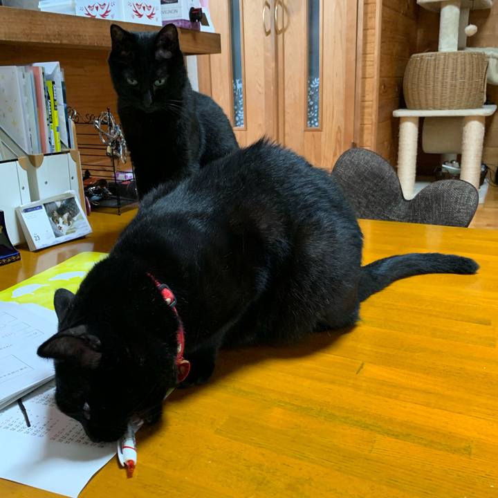 A79bce01 8537 4d6c bb6b d7d944f4a3e2 1563860092126