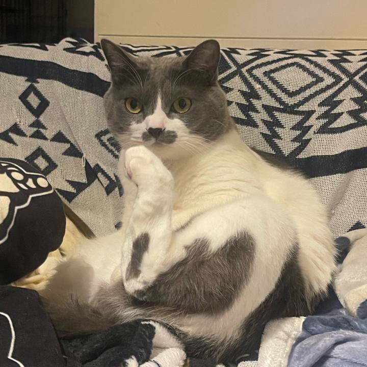 A79bce83 3d19 43fc bf2e ca7ef937f7e9 1733833153662