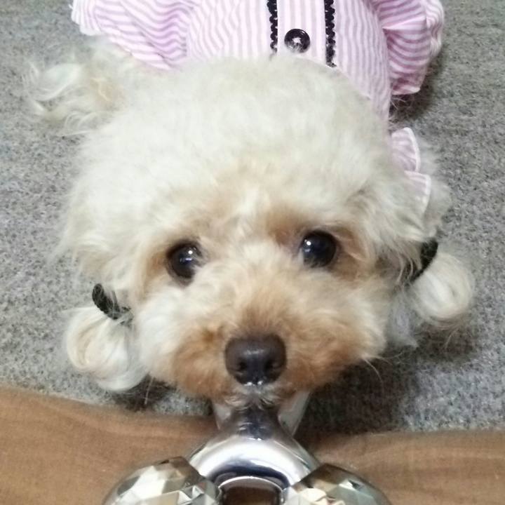 A79bdf87 f8b2 4225 8104 2204750ae3cb 1536150041531