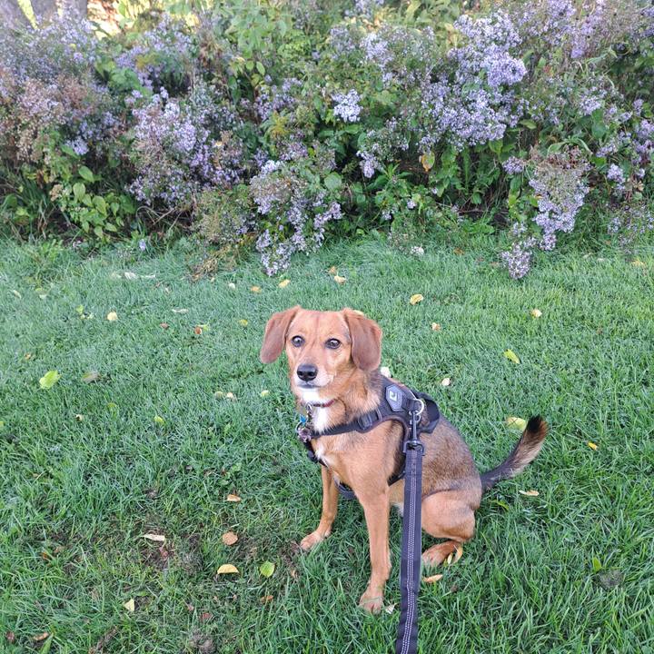 A79c0a70 db97 45a7 9e30 b9a32c191c07 1760103141073