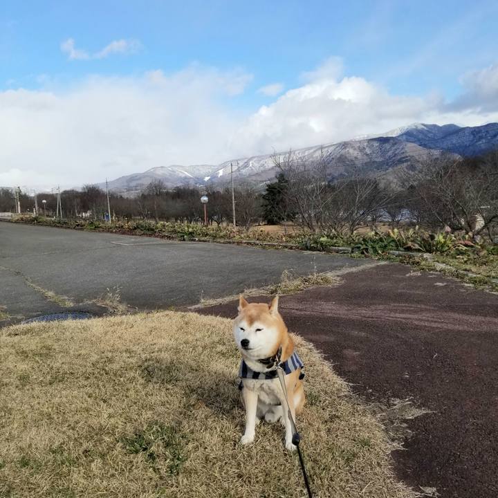 A79c533e 029e 4f6b aafc 51e36e0b0b5d 1671338819842