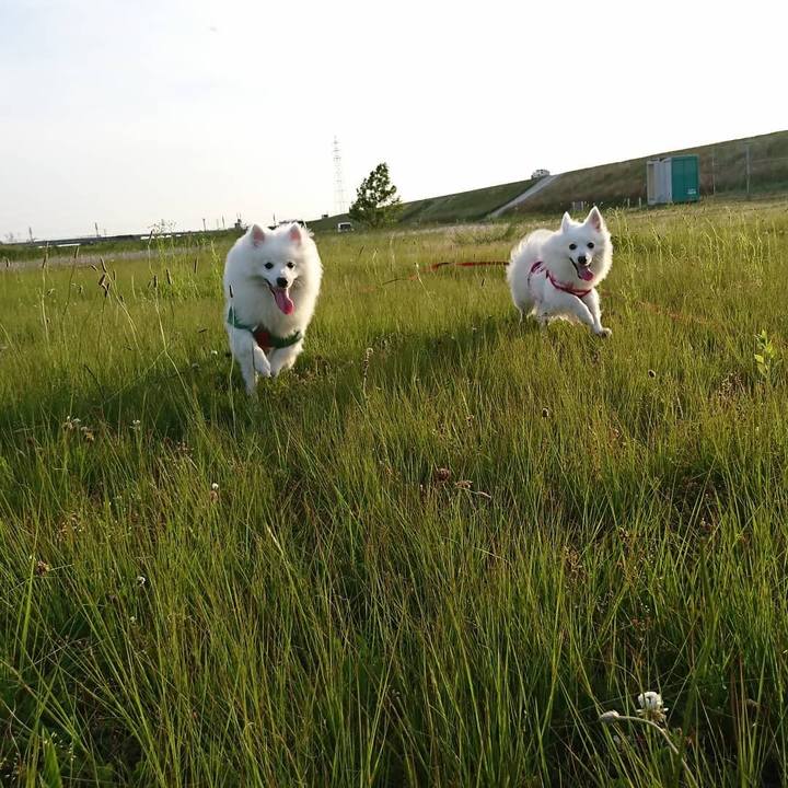 A79c73b2 82c7 4292 bd96 fda49e0e5af2 1558260218284