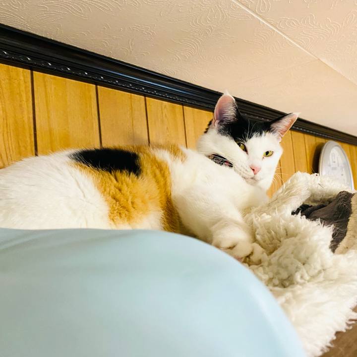 A79cd871 4f2f 4fc2 b609 ddfcfc9e3918 1682851411161