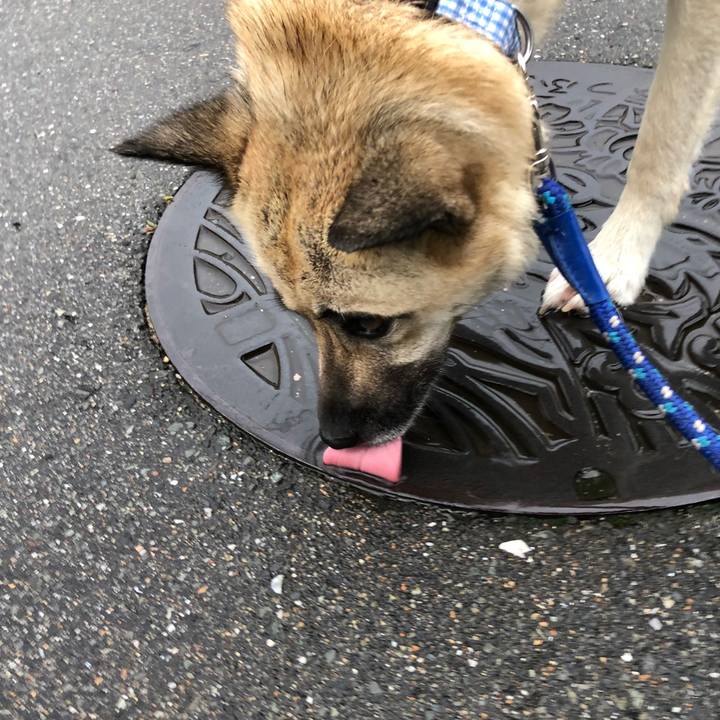 A79cdb3a bfab 4059 9880 5e4b3a5da491 1530790691109