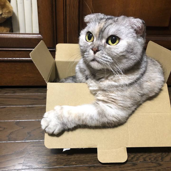 A79ce36e 9936 4967 a874 be1b5247af89 1584104763570