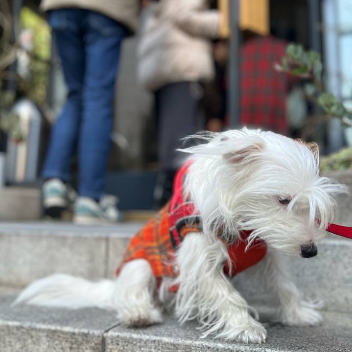 A79d0220 d566 4140 bdd0 f9e9d0726cc4 1741520899650