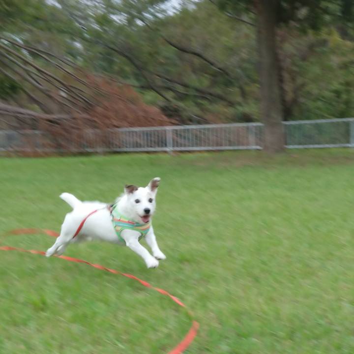 A79d31c3 6169 4235 b8cf bbcffa7b5f08 1569193972056