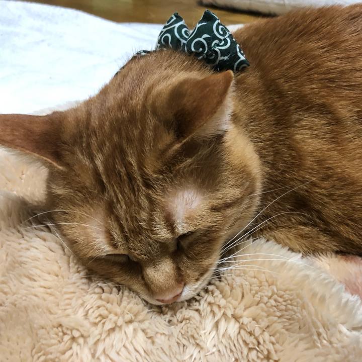 A79d6bc4 e9a9 46c7 9588 dd83790df90d 1580390208968