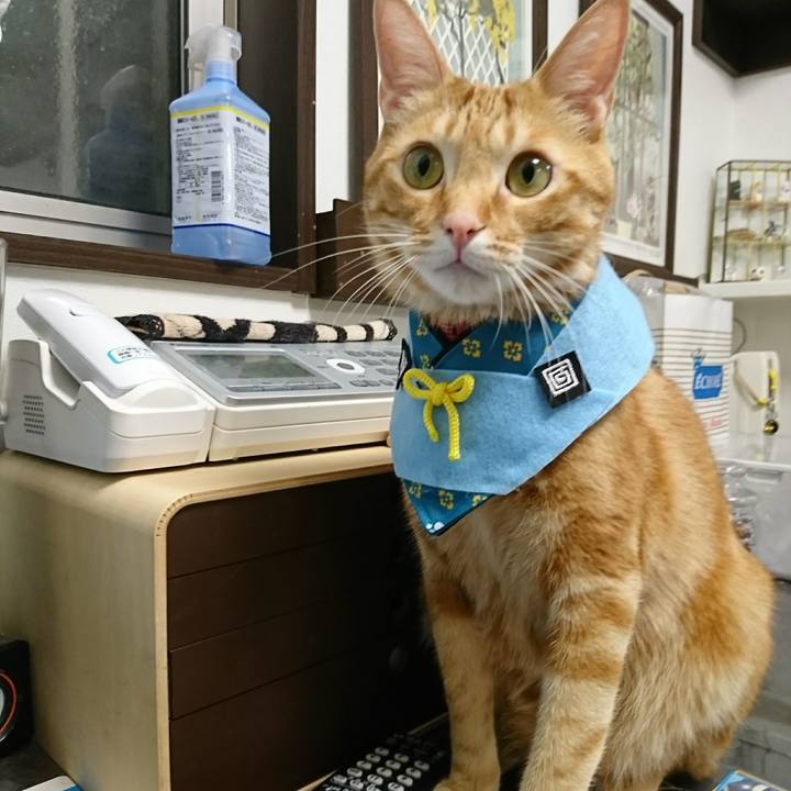 A79d9788 6618 4904 90a6 274fdf9b30f0 1518946198438