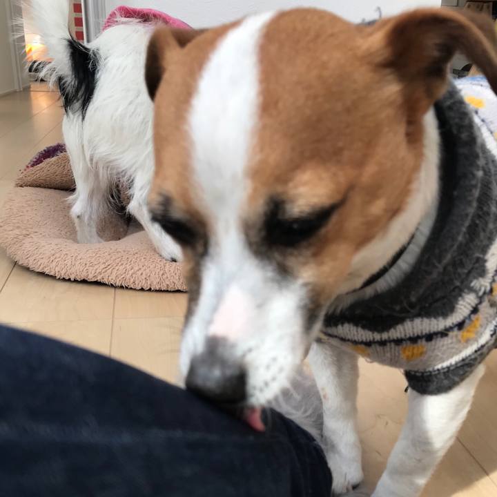 A79d9fc3 fe65 41c7 a50a 496ccfcc1b9a 1519002270123