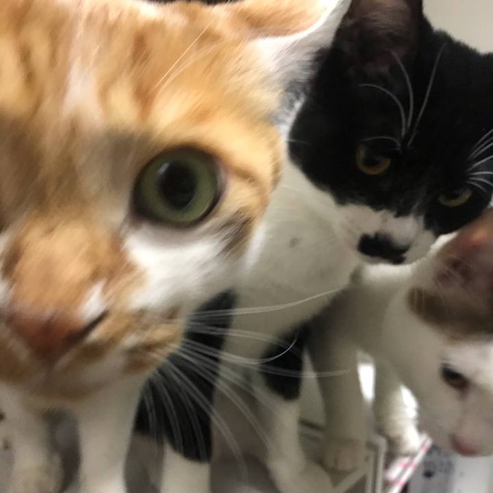 A79db5cb 4044 44fd aa31 1aa93b81034e 1609818469250