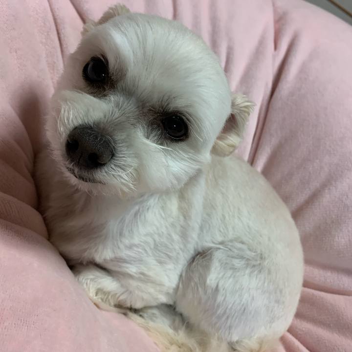 A79df7d8 ce09 4fa4 ad84 a83bf279055a 1582625758281