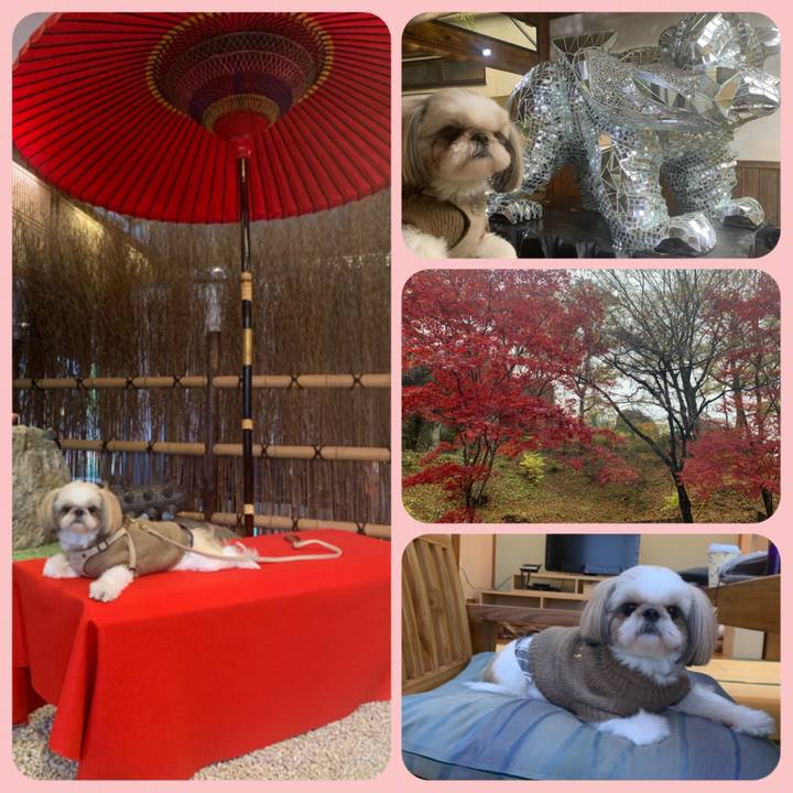 A79e174d cf57 408f af66 d6e3275cb5bd 1637642036724