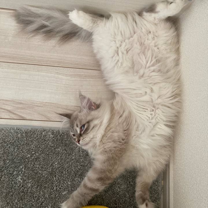 A79e3880 2dc1 4fd2 b9e7 0d9a5afcb95a 1690340964633