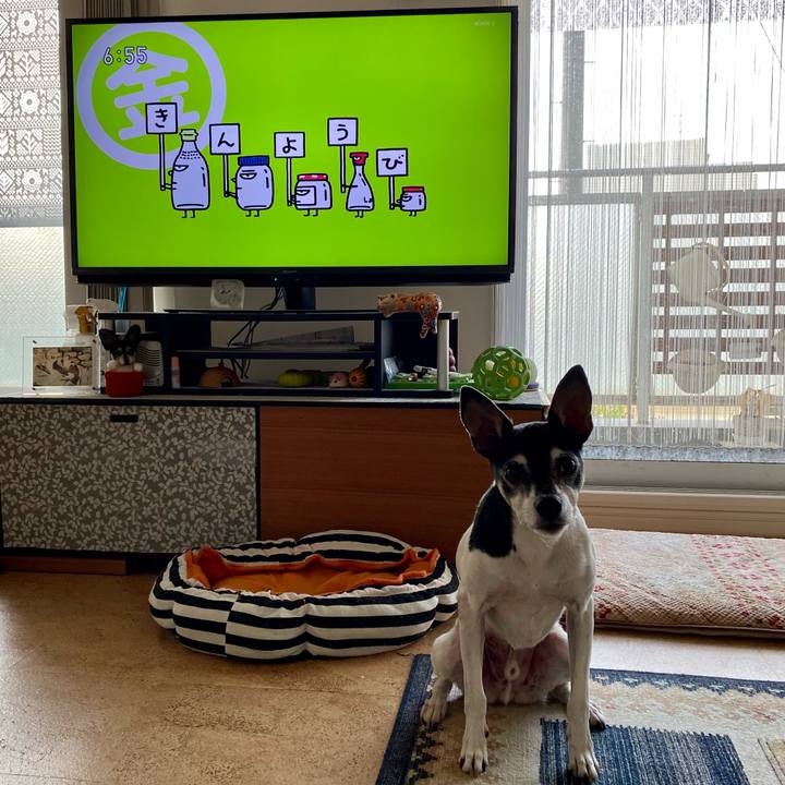 A79e5765 ee4e 4234 b885 bfe49f609941 1617314543904