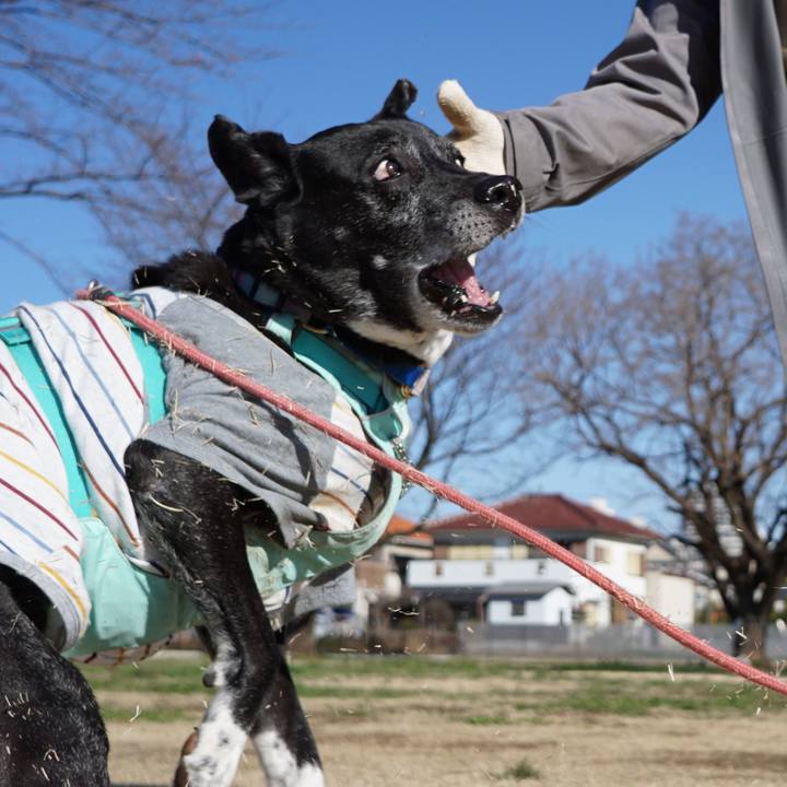 A79e9fbb c164 4f91 bd6d e58b4bbf2ab1 1773537851308