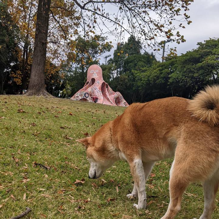 A79eee0b 144a 4e72 aa56 b6c7c06624f4 1700626258294