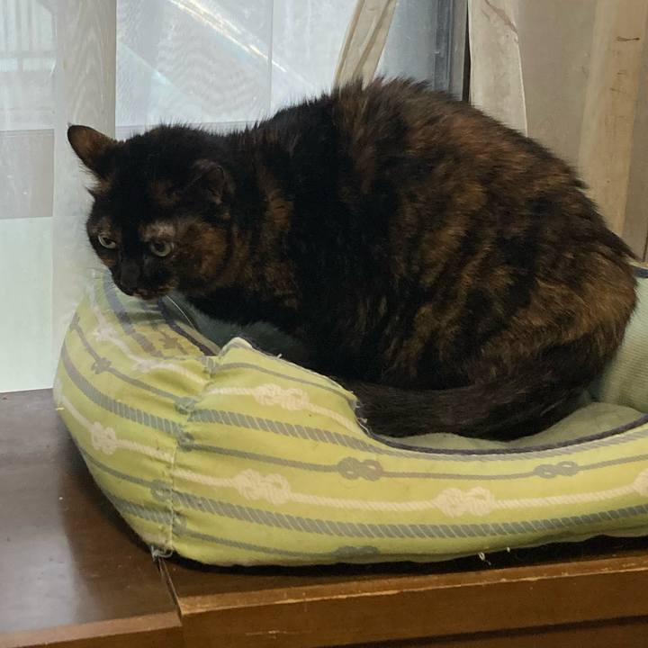 A79f33b1 da25 47b7 bb20 48ab1fdb85c1 1769145776603