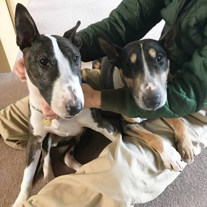 A79f6bfa b621 4198 8c81 9d39beebbfed 1518242834143