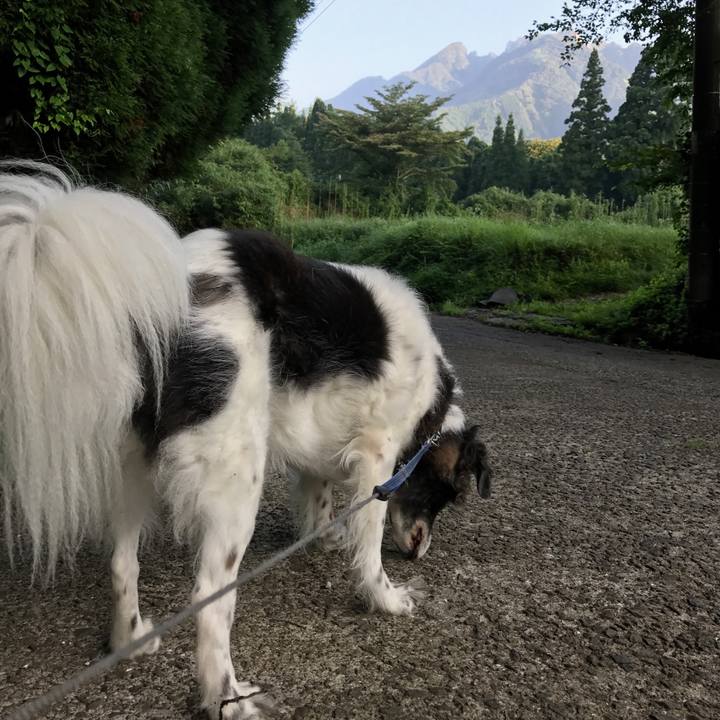 A79f6f0a 0efe 4af2 b55e 44218e101641 1533739409501